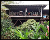 Tropical Home for Sale Images - Bocas Del Toro, Panama